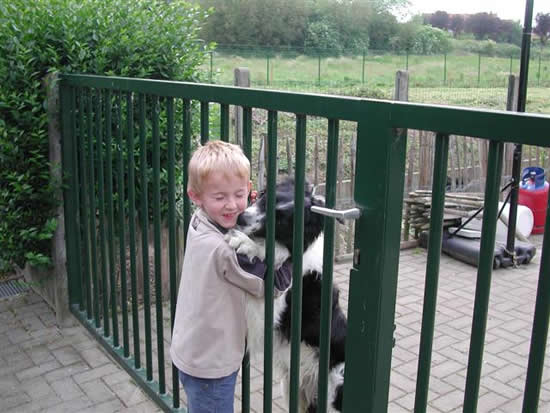 Tim en zijn vriend Kwispel, de hond van de buren 