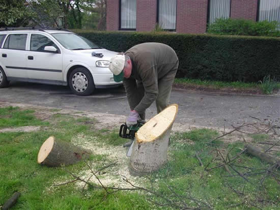  stam met grond gelijk maken 