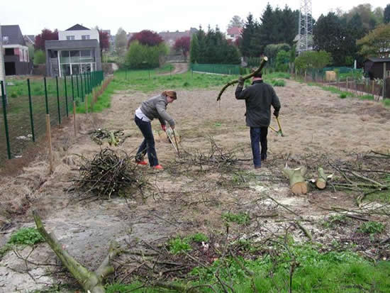  alles fijnknippen en sorteren 