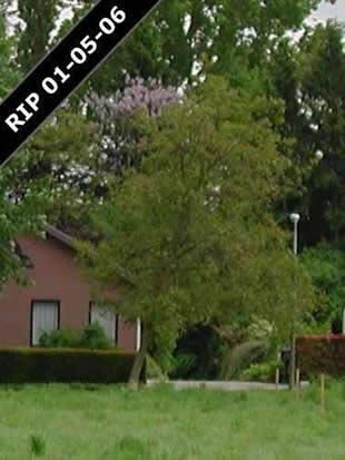 Notenboom RIP 01-05-06