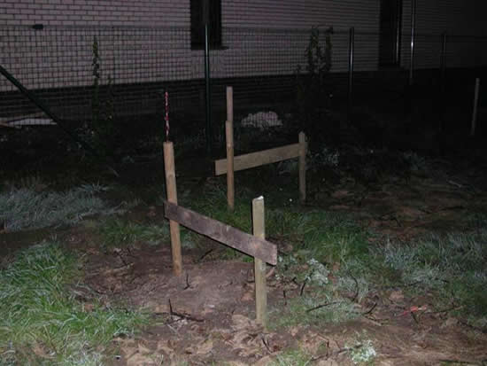  Inplanting 