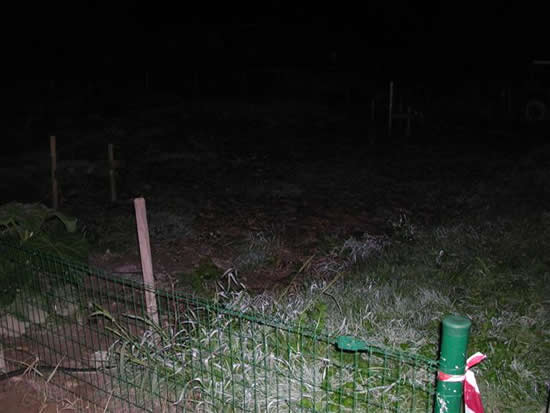  Inplanting 